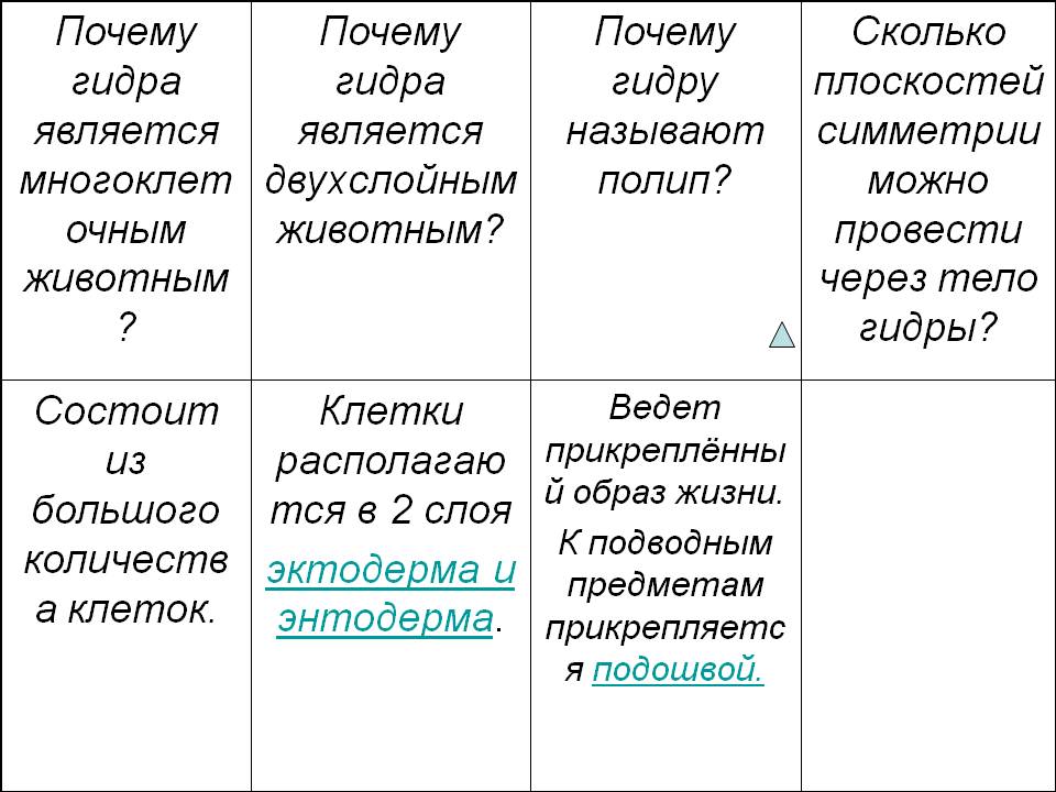 Почему в кракене пользователь не найден