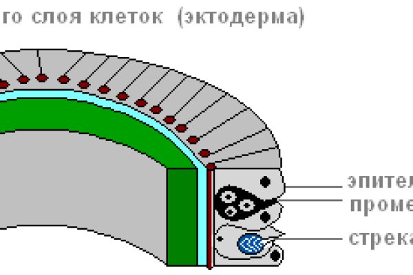 Как положить деньги на кракен